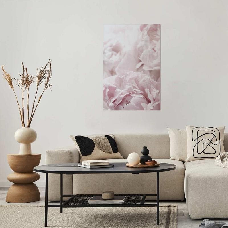 Poster - Fluffy Peonies in Poster e stampe Collezione Casa - Trebisacce, commercioVirtuoso.it