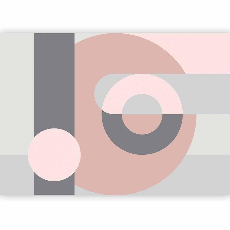 Carta da Parati Ghirlanda Geometrica Rosa in Carta da parati Collezione Casa - Trebisacce, commercioVirtuoso.it