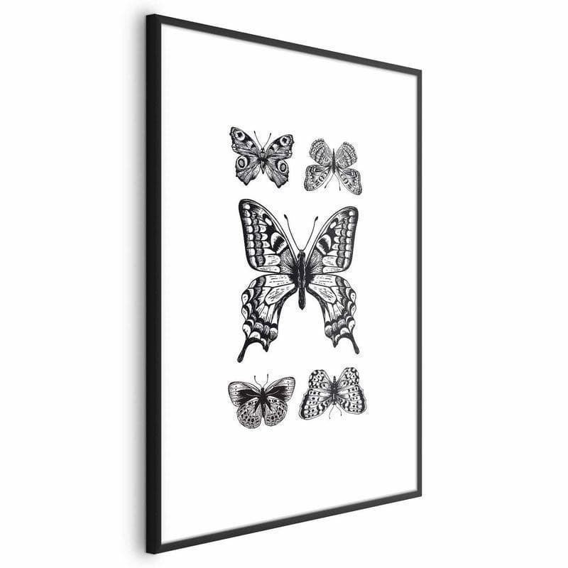 Poster - Five Butterflies in Poster e stampe Collezione Casa - Trebisacce, commercioVirtuoso.it