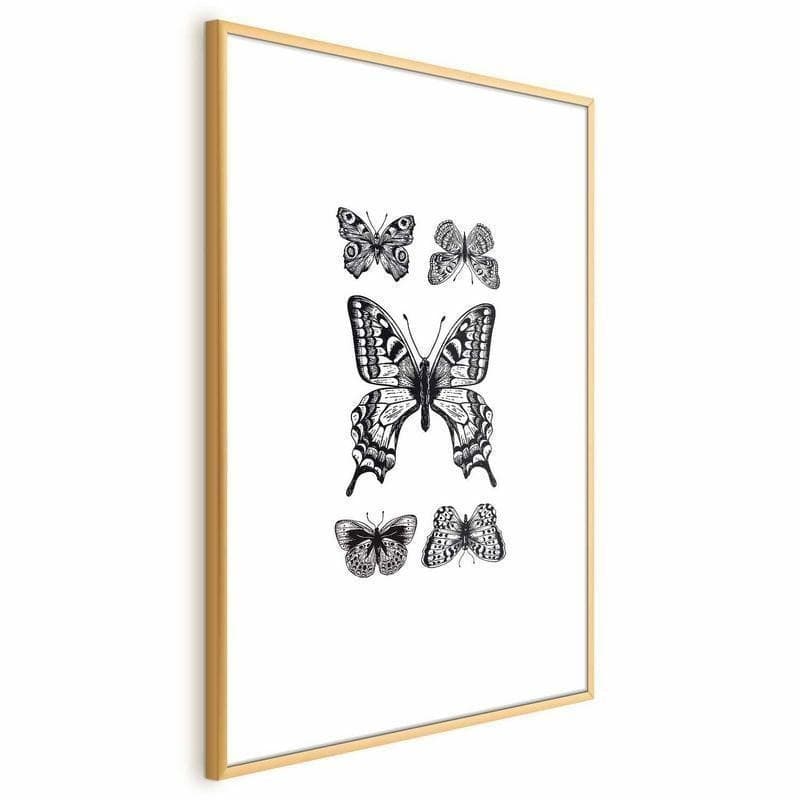 Poster - Five Butterflies in Poster e stampe Collezione Casa - Trebisacce, commercioVirtuoso.it