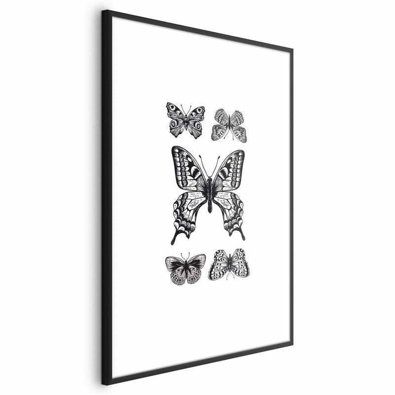 Poster - Five Butterflies in Poster e stampe Collezione Casa - Trebisacce, commercioVirtuoso.it