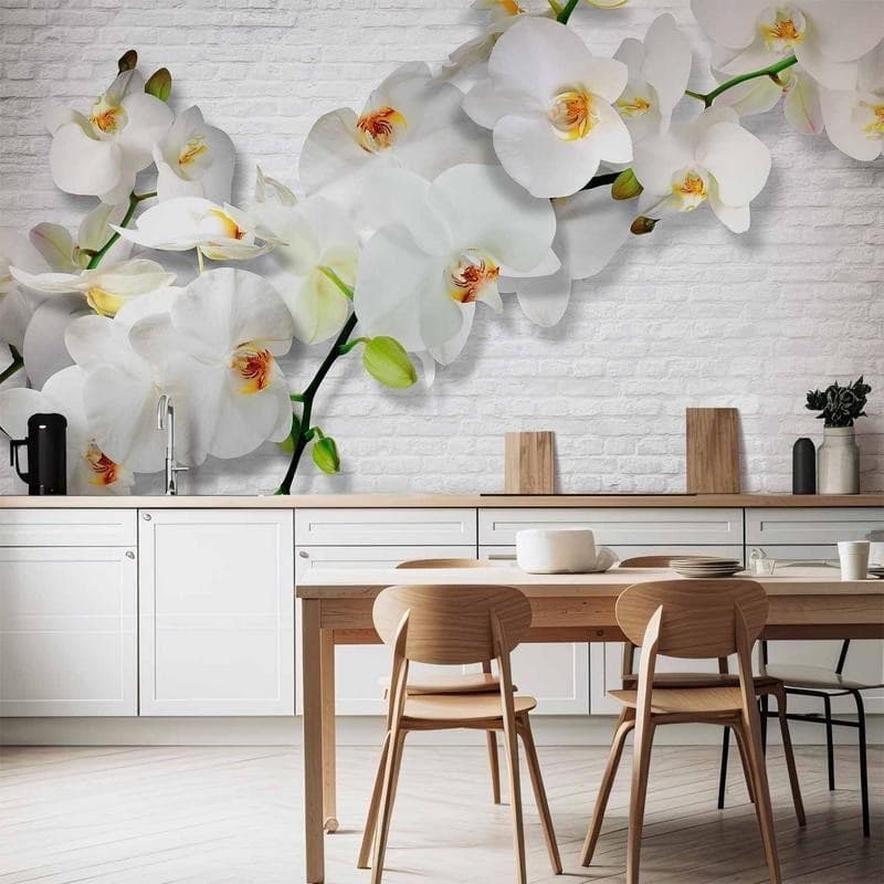 Carta da parati orchidea selvaggia in Carta da parati Collezione Casa - Trebisacce, commercioVirtuoso.it