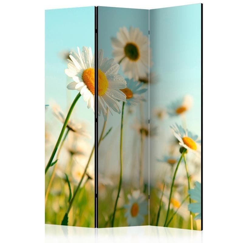 Paravento Daisies spring meadow [Room Dividers] in Paraventi Collezione Casa - Trebisacce, commercioVirtuoso.it