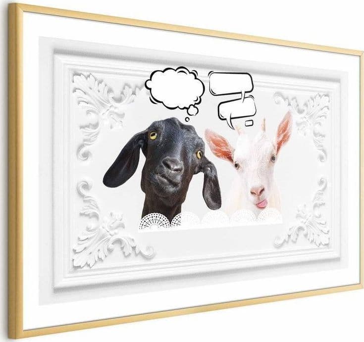 Poster - Funny Goats in Targhe e cartelli Collezione Casa - Trebisacce, commercioVirtuoso.it