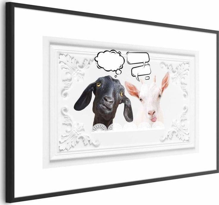 Poster - Funny Goats in Targhe e cartelli Collezione Casa - Trebisacce, commercioVirtuoso.it