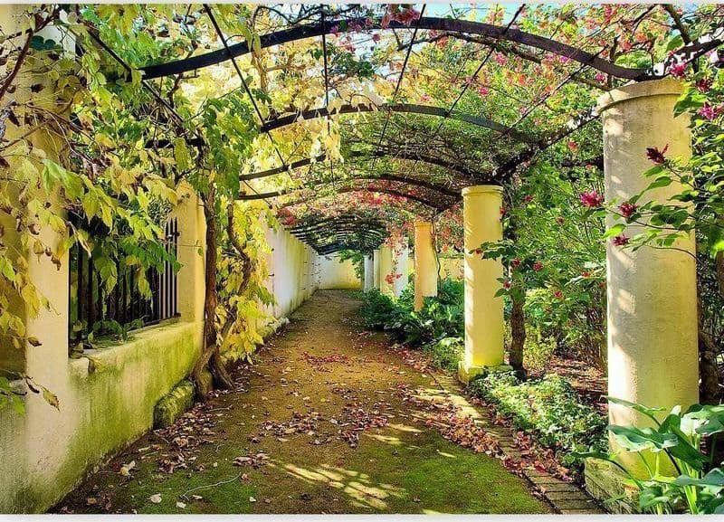 Fotomurale Pergola in Carta da parati Collezione Casa - Trebisacce, commercioVirtuoso.it