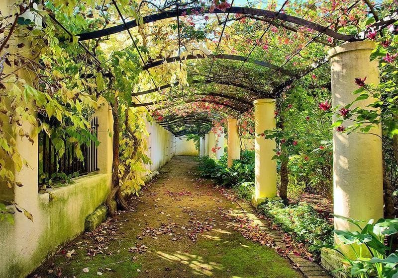 Fotomurale Pergola in Carta da parati Collezione Casa - Trebisacce, commercioVirtuoso.it