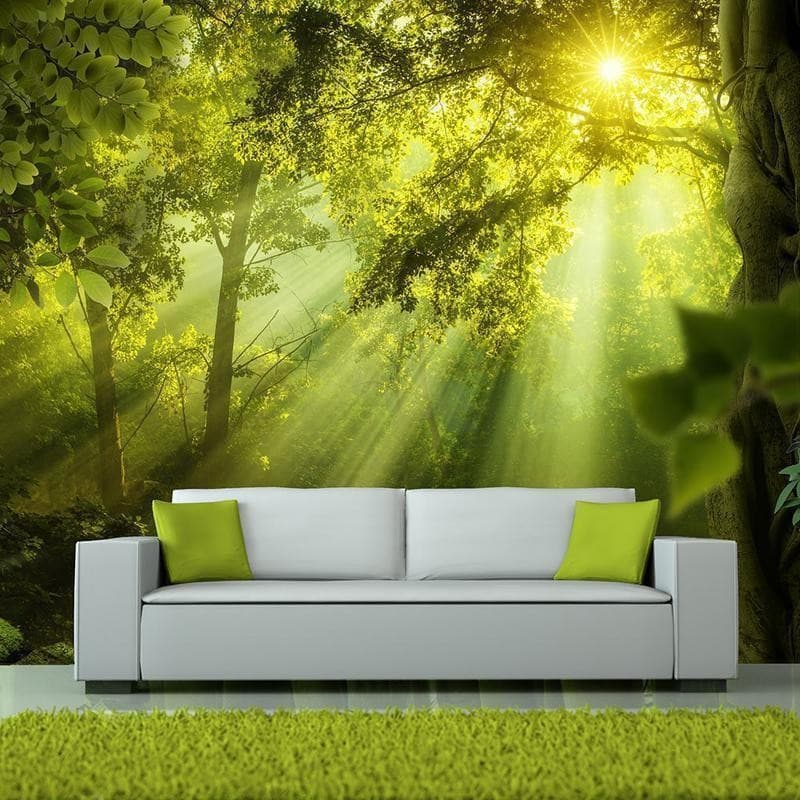 Fotomurale Nella foresta misteriosa in Carta da parati Collezione Casa - Trebisacce, commercioVirtuoso.it