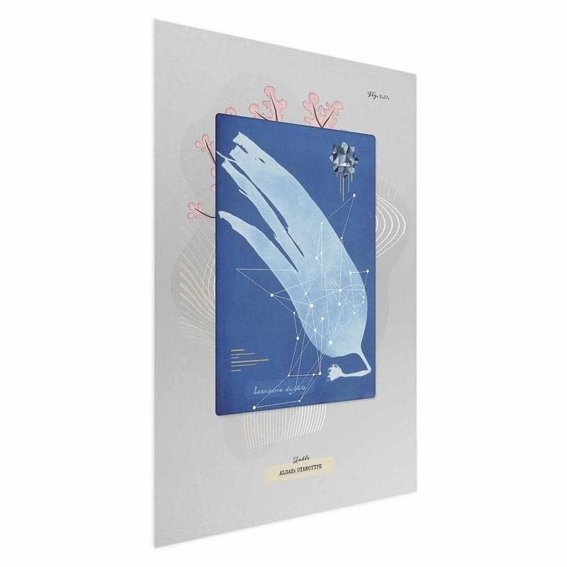 Poster - Algae in Poster e stampe Collezione Casa - Trebisacce, commercioVirtuoso.it