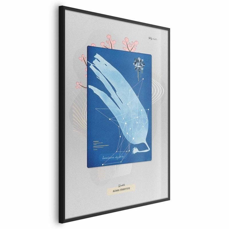Poster - Algae in Poster e stampe Collezione Casa - Trebisacce, commercioVirtuoso.it