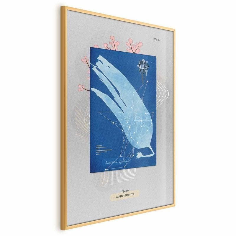 Poster - Algae in Poster e stampe Collezione Casa - Trebisacce, commercioVirtuoso.it