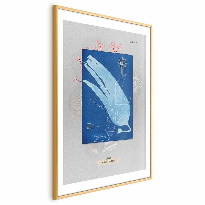 Poster - Algae in Poster e stampe Collezione Casa - Trebisacce, commercioVirtuoso.it
