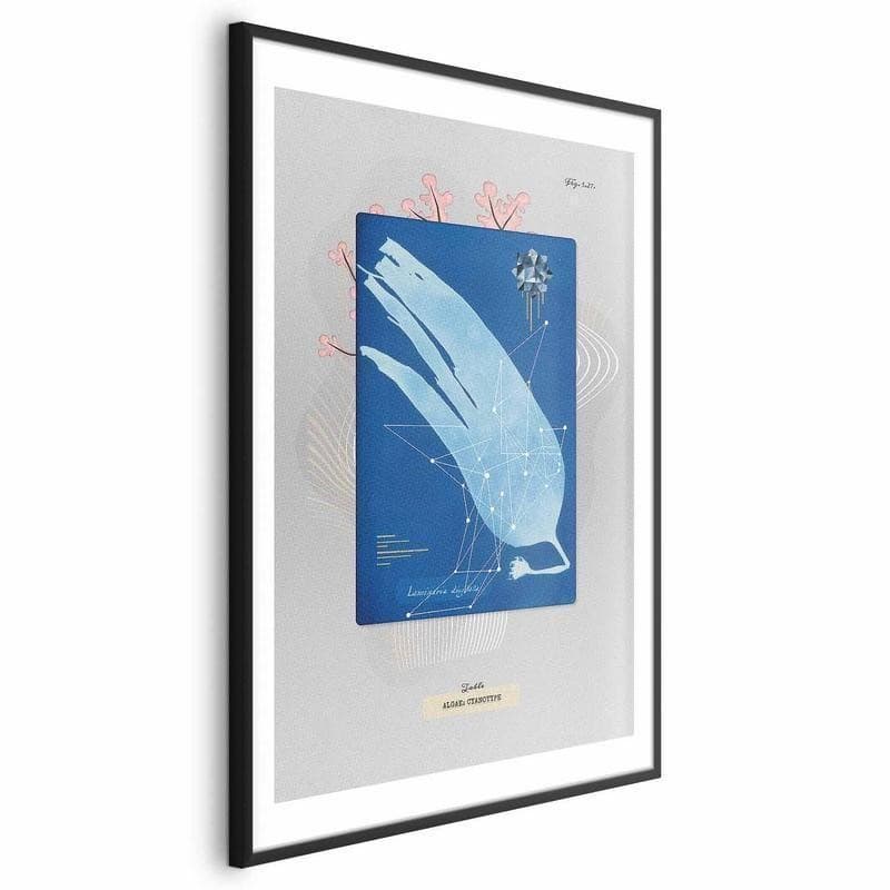 Poster - Algae in Poster e stampe Collezione Casa - Trebisacce, commercioVirtuoso.it