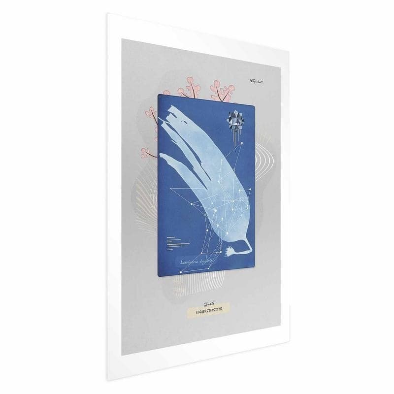 Poster - Algae in Poster e stampe Collezione Casa - Trebisacce, commercioVirtuoso.it