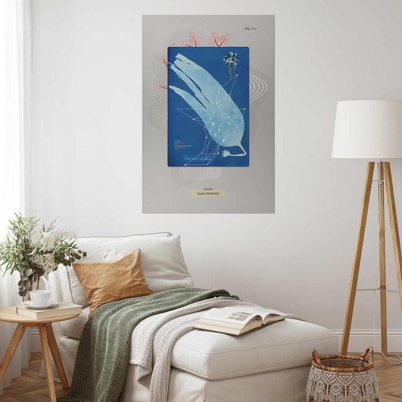 Poster - Algae in Poster e stampe Collezione Casa - Trebisacce, commercioVirtuoso.it