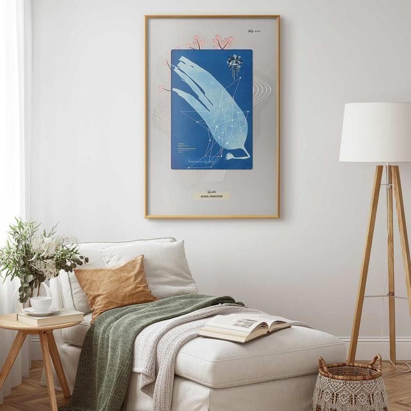 Poster - Algae in Poster e stampe Collezione Casa - Trebisacce, commercioVirtuoso.it