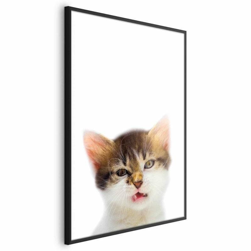 Poster - Annoyed Cat in Poster e stampe Collezione Casa - Trebisacce, commercioVirtuoso.it