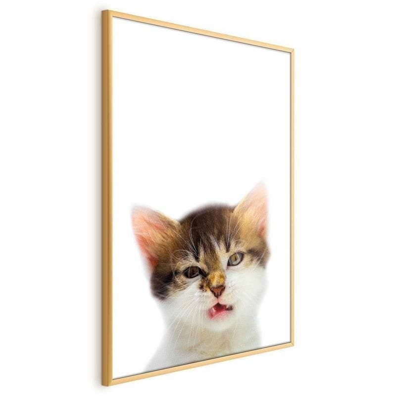 Poster - Annoyed Cat in Poster e stampe Collezione Casa - Trebisacce, commercioVirtuoso.it