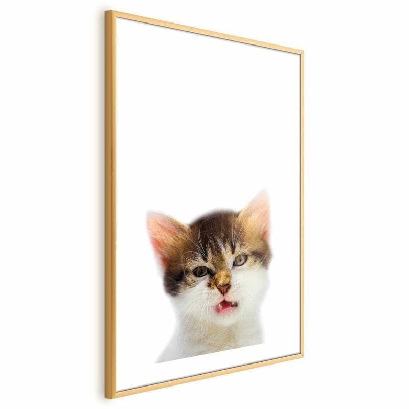 Poster - Annoyed Cat in Poster e stampe Collezione Casa - Trebisacce, commercioVirtuoso.it