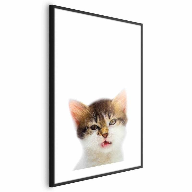Poster - Annoyed Cat in Poster e stampe Collezione Casa - Trebisacce, commercioVirtuoso.it