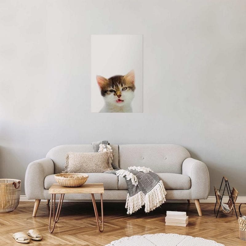 Poster - Annoyed Cat in Poster e stampe Collezione Casa - Trebisacce, commercioVirtuoso.it