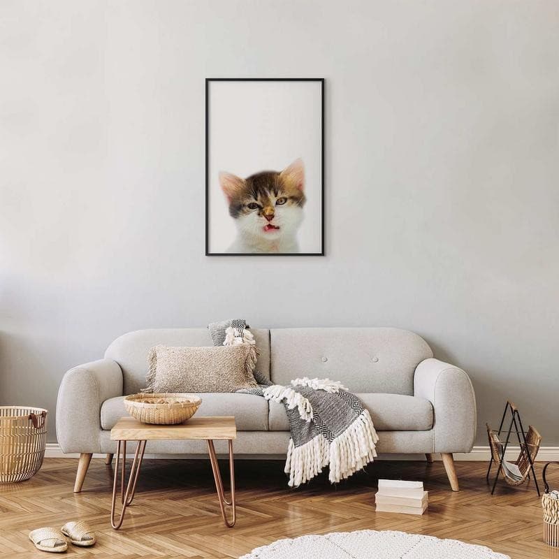 Poster - Annoyed Cat in Poster e stampe Collezione Casa - Trebisacce, commercioVirtuoso.it