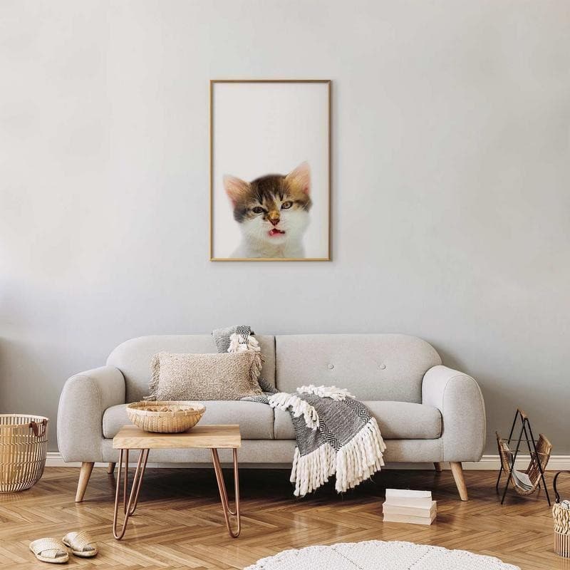 Poster - Annoyed Cat in Poster e stampe Collezione Casa - Trebisacce, commercioVirtuoso.it