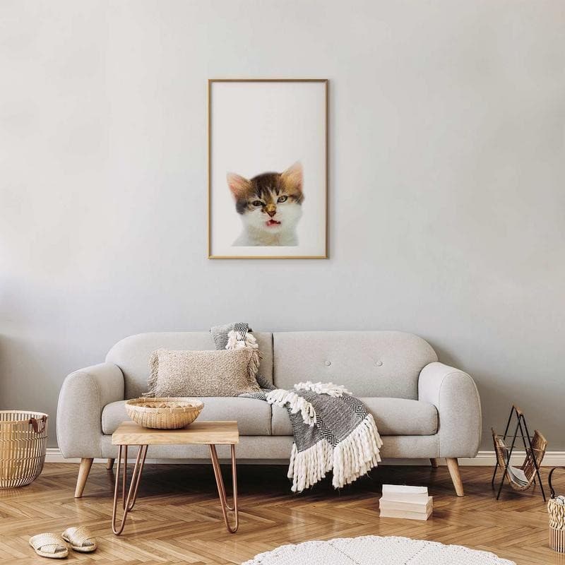 Poster - Annoyed Cat in Poster e stampe Collezione Casa - Trebisacce, commercioVirtuoso.it