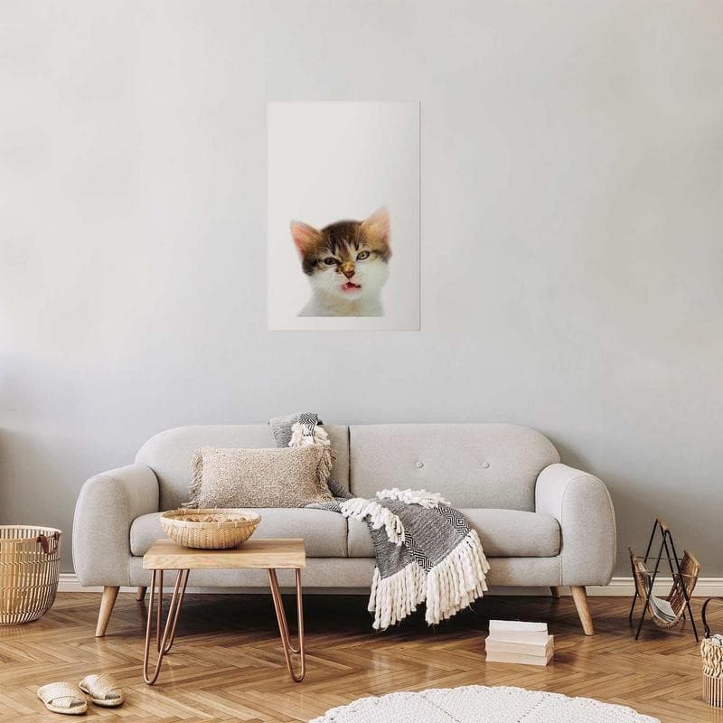 Poster - Annoyed Cat in Poster e stampe Collezione Casa - Trebisacce, commercioVirtuoso.it