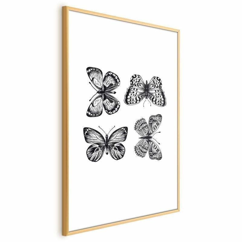 Poster - Four Butterflies in Poster e stampe Collezione Casa - Trebisacce, commercioVirtuoso.it