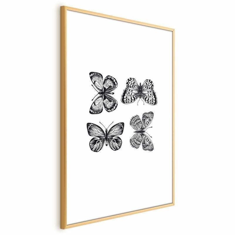 Poster - Four Butterflies in Poster e stampe Collezione Casa - Trebisacce, commercioVirtuoso.it