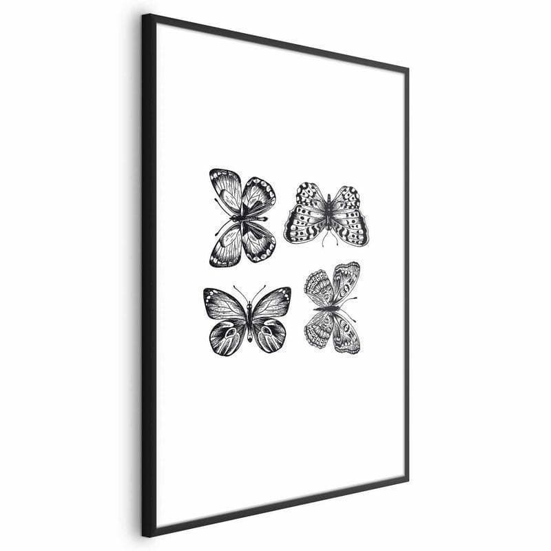 Poster - Four Butterflies in Poster e stampe Collezione Casa - Trebisacce, commercioVirtuoso.it