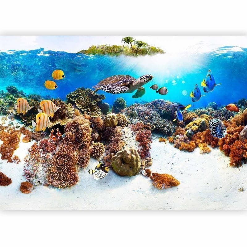 Fotomurale Banco corallino in Carta da parati Collezione Casa - Trebisacce, commercioVirtuoso.it