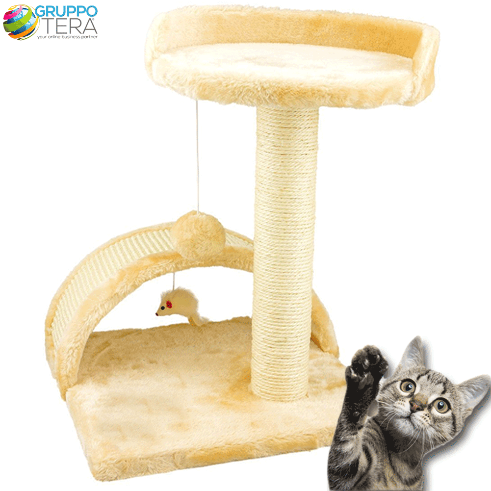 2842567