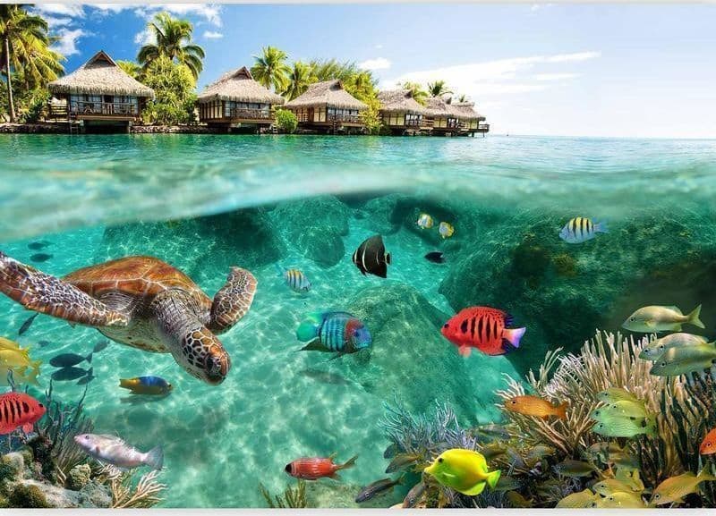 Fotomurale Sotto la superficie dell'acqua in Carta da parati Collezione Casa - Trebisacce, commercioVirtuoso.it