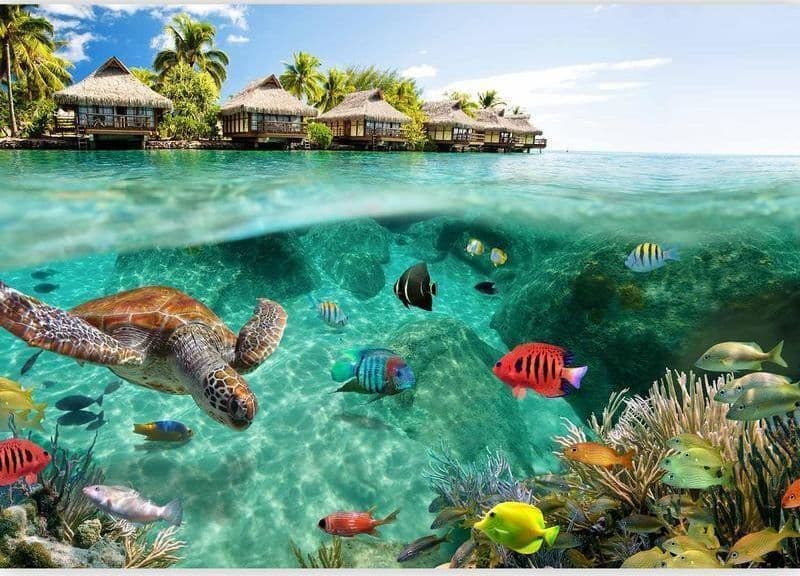 Fotomurale Sotto la superficie dell'acqua in Carta da parati Collezione Casa - Trebisacce, commercioVirtuoso.it