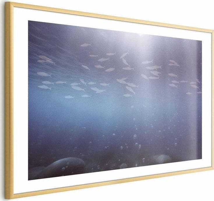 Poster - Fish in the Depths in Poster e stampe Collezione Casa - Trebisacce, commercioVirtuoso.it