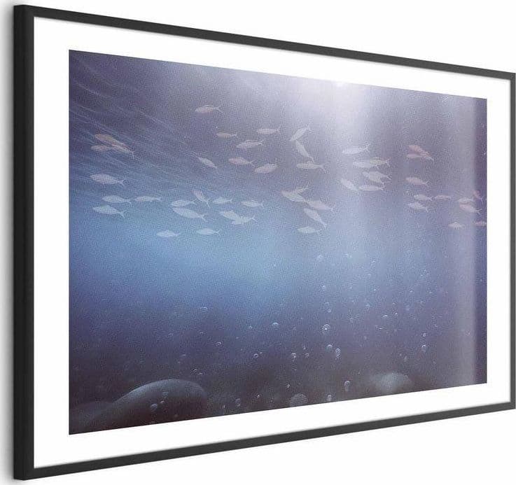 Poster - Fish in the Depths in Poster e stampe Collezione Casa - Trebisacce, commercioVirtuoso.it
