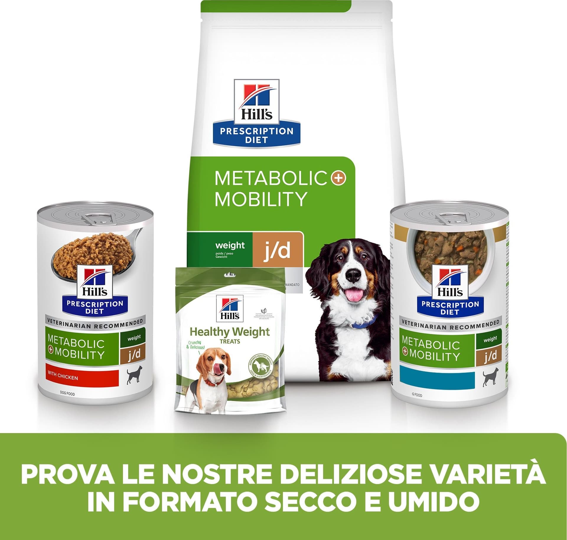 Hill's Prescription Diet Metabolic+Mobility umido Cani Adulti Original 370 gr in Biscotti bocconcini e snack 101 Market - Poggibonsi, commercioVirtuoso.it