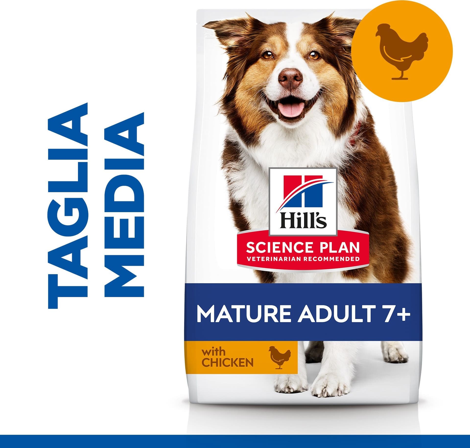 Hill's Mantenimento secco Cani Mature Medium pollo in Secco 101 Market - Poggibonsi, commercioVirtuoso.it