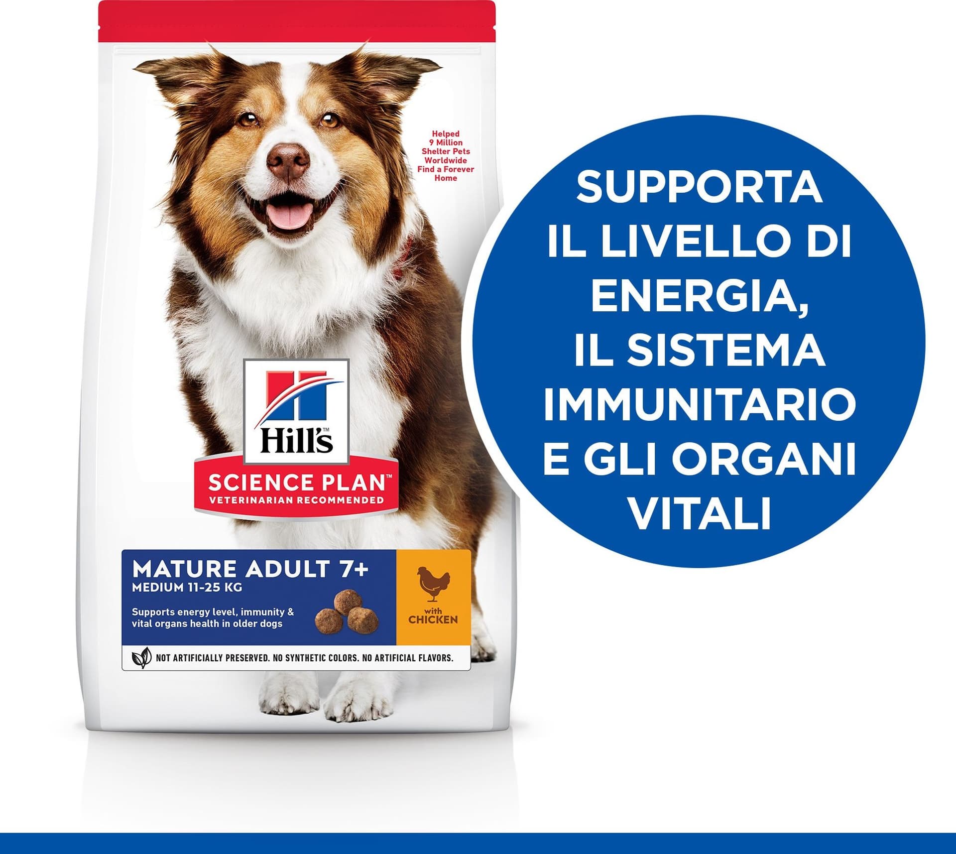 Hill's Mantenimento secco Cani Mature Medium pollo in Secco 101 Market - Poggibonsi, commercioVirtuoso.it