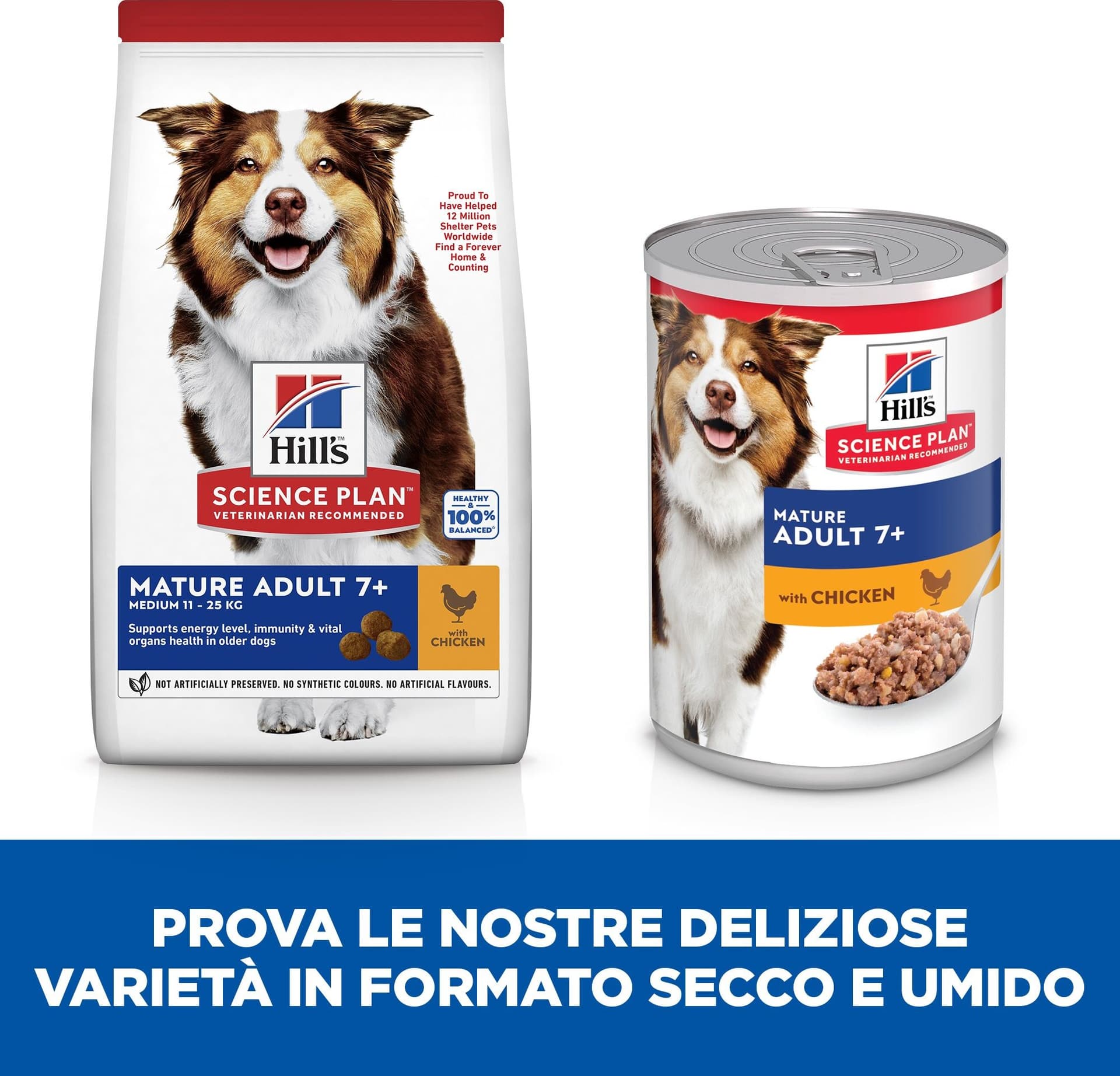 Hill's Mantenimento secco Cani Mature Medium pollo in Secco 101 Market - Poggibonsi, commercioVirtuoso.it