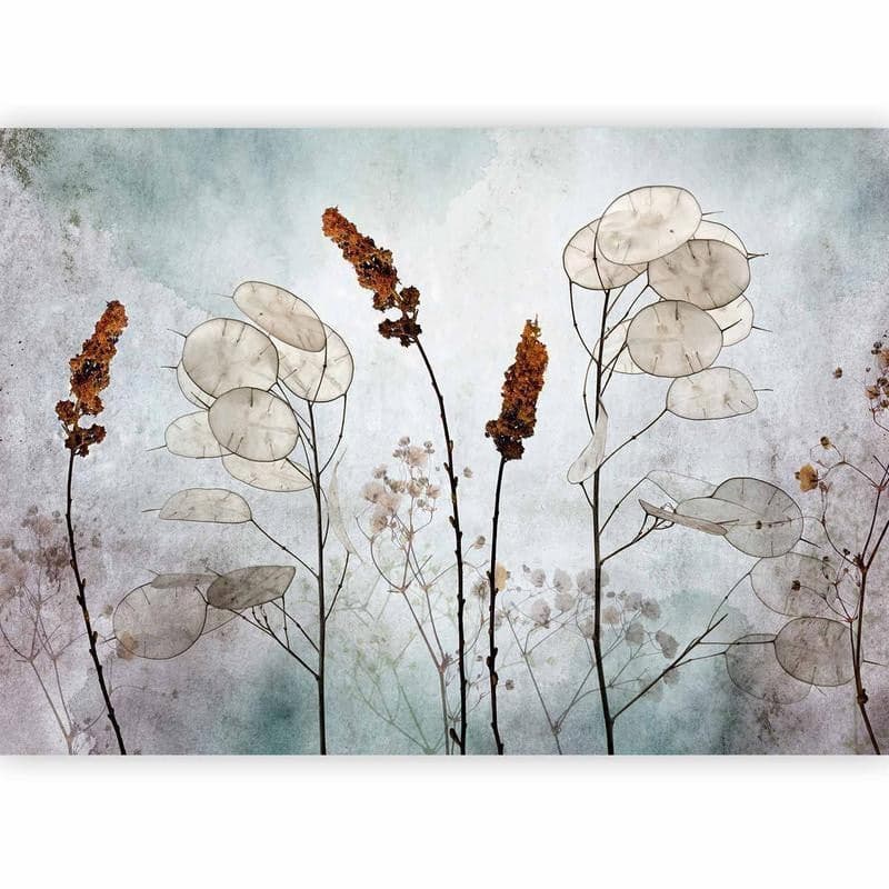 Fotomurale Lunaria in the Meadow in Carta da parati Collezione Casa - Trebisacce, commercioVirtuoso.it