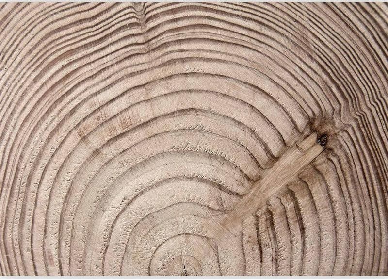 Fotomurale Cerchio d'albero in Carta da parati Collezione Casa - Trebisacce, commercioVirtuoso.it