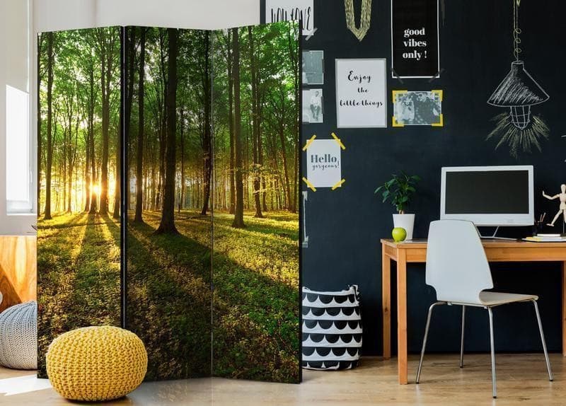 Paravento Morning in the Forest [divisori da interno] in Paraventi Collezione Casa - Trebisacce, commercioVirtuoso.it