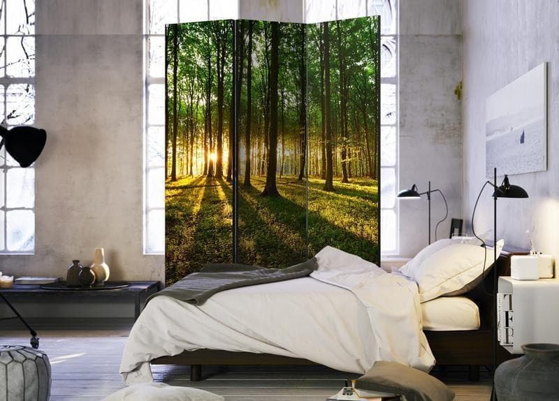 Paravento Morning in the Forest [divisori da interno] in Paraventi Collezione Casa - Trebisacce, commercioVirtuoso.it
