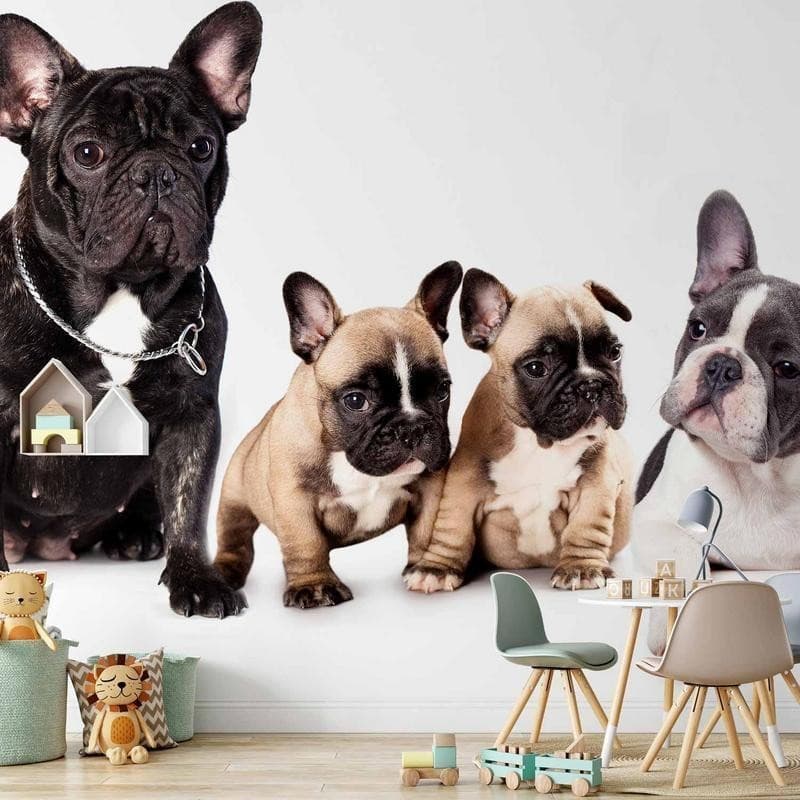 Carta da Parati Cani di Razza French in Carta da parati Collezione Casa - Trebisacce, commercioVirtuoso.it