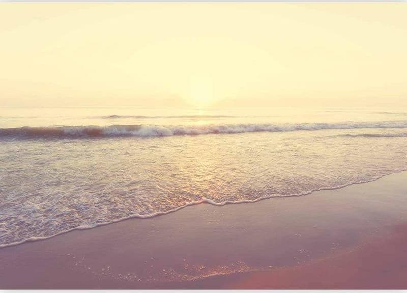 Fotomurale Morning on the Beach in Carta da parati Collezione Casa - Trebisacce, commercioVirtuoso.it