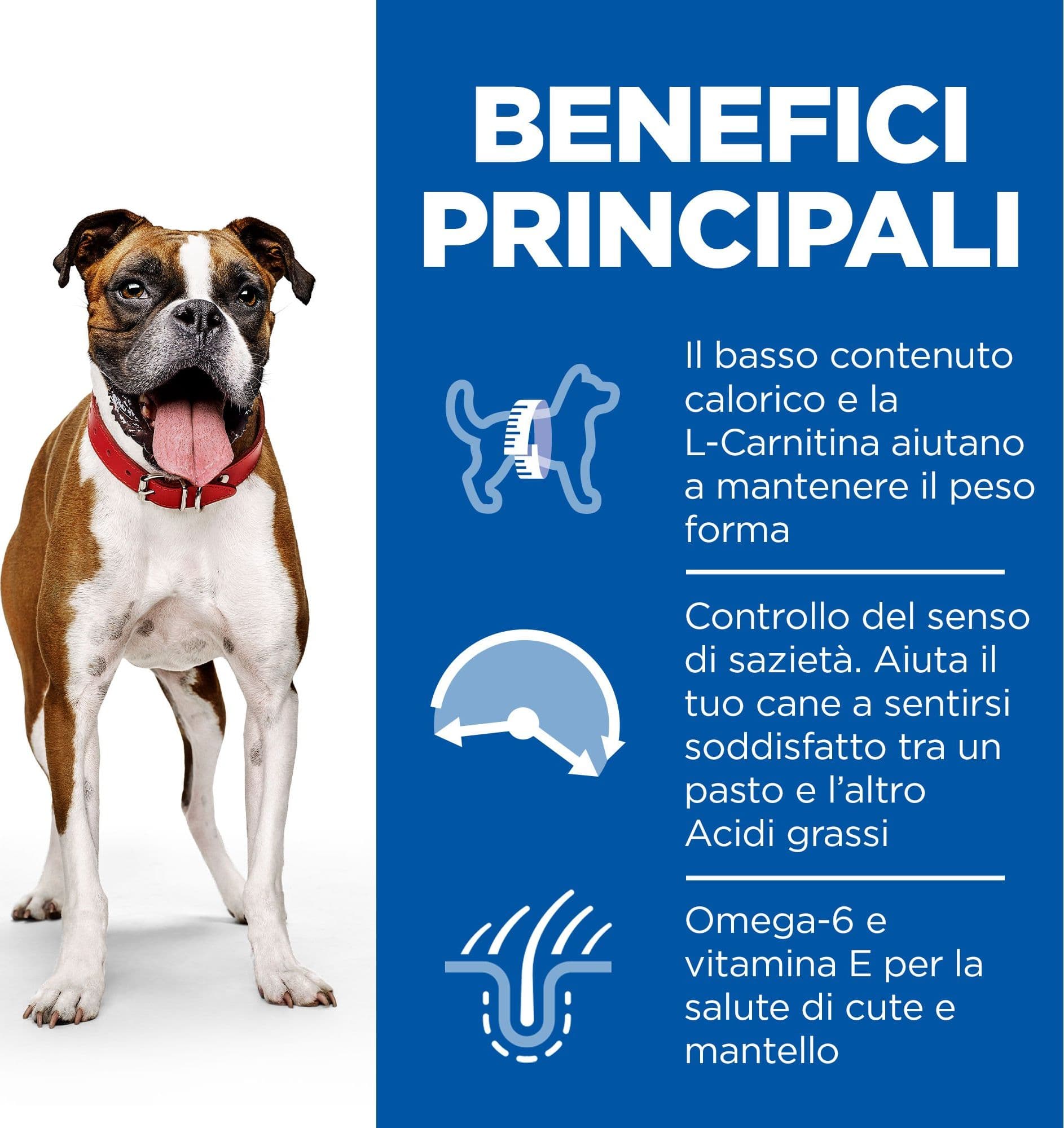 Hill's Light secco Cani Adulti Medium pollo in Secco 101 Market - Poggibonsi, commercioVirtuoso.it