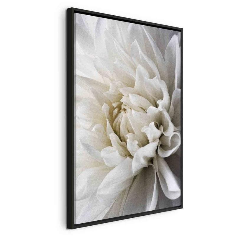 Quadro White Dahlia in Poster e stampe Collezione Casa - Trebisacce, commercioVirtuoso.it
